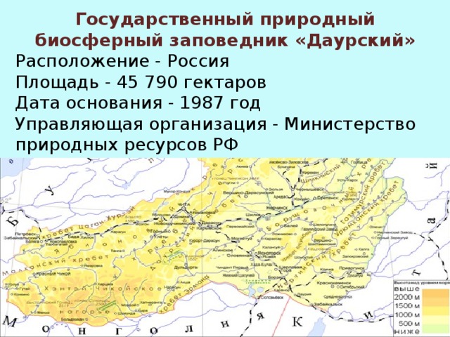 Даурский заповедник на карте