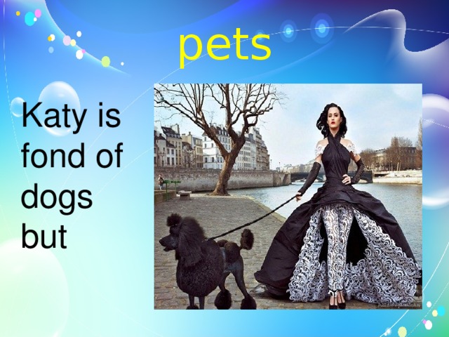 pets Katy is fond of dogs but 