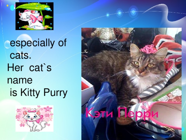  especially of  cats. Her cat`s name  is Kitty Purry 