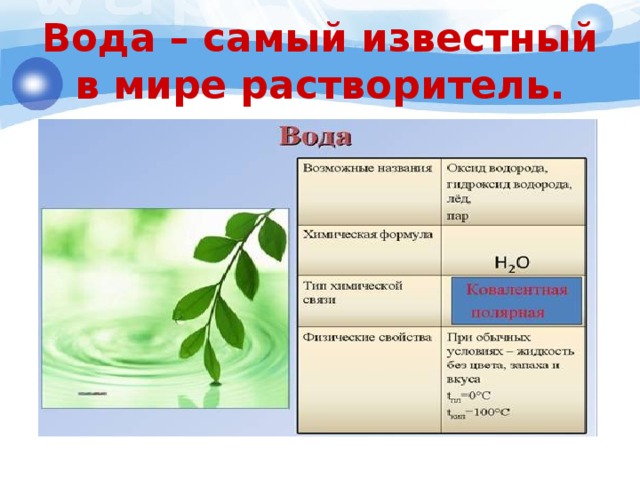 Вода – самый известный в мире растворитель. 