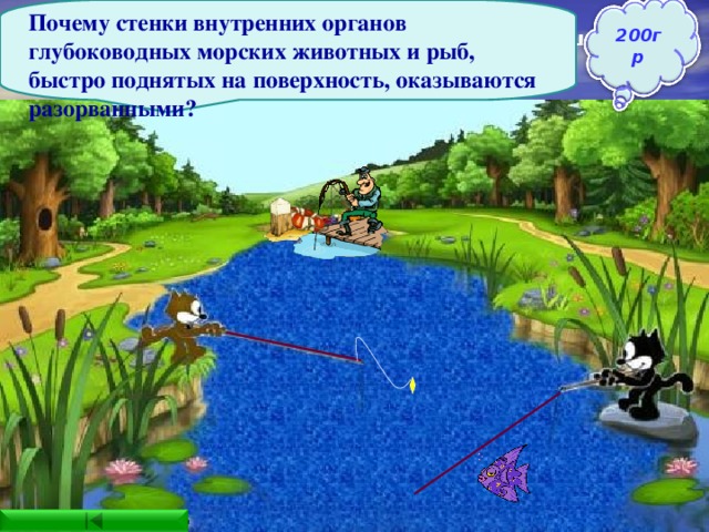 Почему стенки внутренних органов глубоководных морских животных и рыб, быстро поднятых на поверхность, оказываются разорванными? 200гр Ответ: Давление внутри рыбы становится больше, чем внешнее давление 