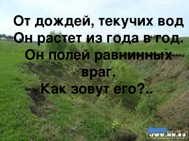 От дождей, текучих вод  Он растет из года в год.  Он полей равнинных враг.  Как зовут его?.. 