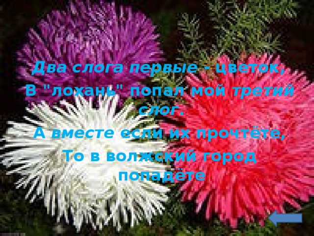  Два слога первые - цветок,  В 