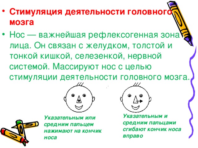 Стимуляция деятельности головного мозга Нос — важнейшая рефлексогенная зона лица. Он связан с желудком, толстой и тонкой кишкой, селезенкой, нервной системой. Массируют нос с целью стимуляции деятельности головного мозга. Указательным и средним пальцами сгибают кончик носа вправо  Указательным или средним пальцем нажимают на кончик носа  УУУУ   