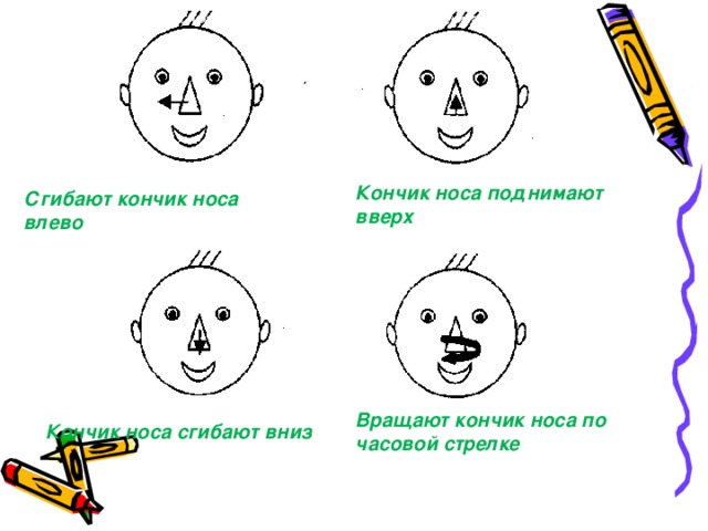 Сгибают кончик носа влево. Кончик носа поднимают вверх. Сгибают кончик носа влево. Кончик носа поднимают вверх. Кончик носа поднимают вверх  Сгибают кончик носа влево  Вращают кончик носа по часовой стрелке  Кончик носа сгибают вниз   