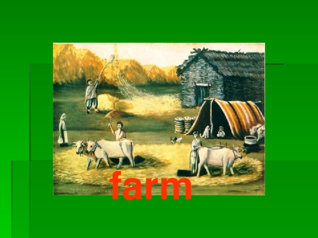 farm 