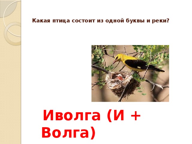   Какая птица состоит из одной буквы и реки?    Иволга (И + Волга) 