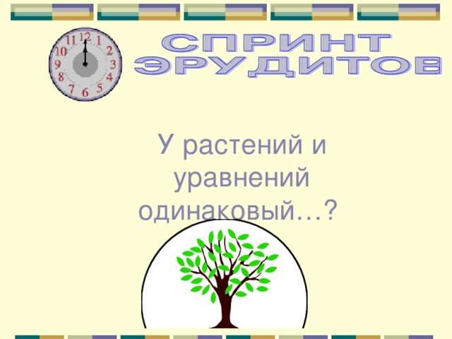 У растений и уравнений одинаковый…? 