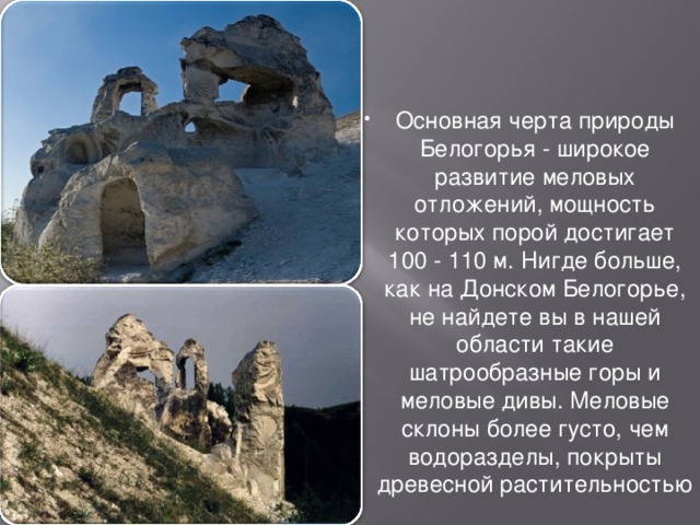 Основная черта природы Белогорья - широкое развитие меловых отложений, мощность которых порой достигает 100 - 110 м. Нигде больше, как на Донском Белогорье, не найдете вы в нашей области такие шатрообразные горы и меловые дивы. Меловые склоны более густо, чем водоразделы, покрыты древесной растительностью 