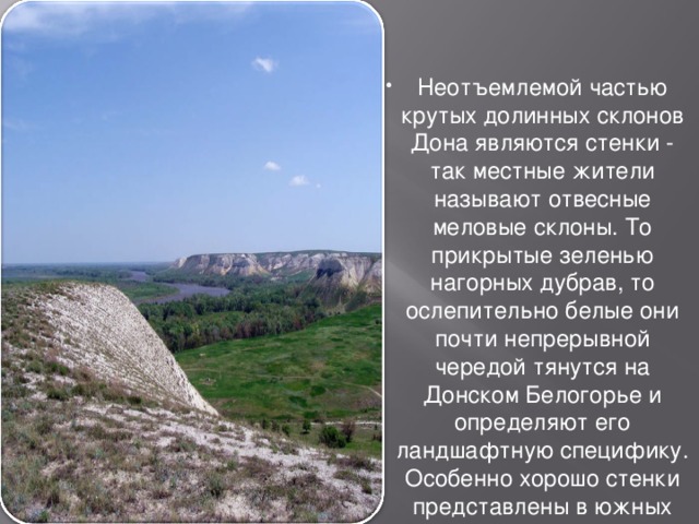 Неотъемлемой частью крутых долинных склонов Дона являются стенки - так местные жители называют отвесные меловые склоны. То прикрытые зеленью нагорных дубрав, то ослепительно белые они почти непрерывной чередой тянутся на Донском Белогорье и определяют его ландшафтную специфику. Особенно хорошо стенки представлены в южных районах Белогорья. 
