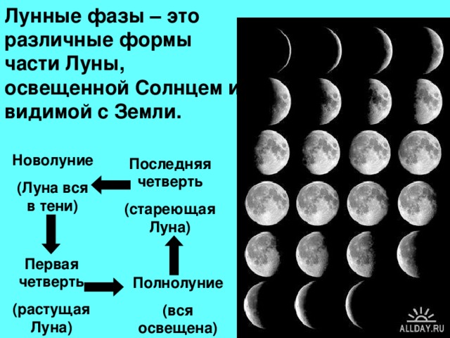 Можно ли увидеть луну в новолуние. Фазы Луны. Форма Луны. Растущая Луна схема. Разные формы Луны.