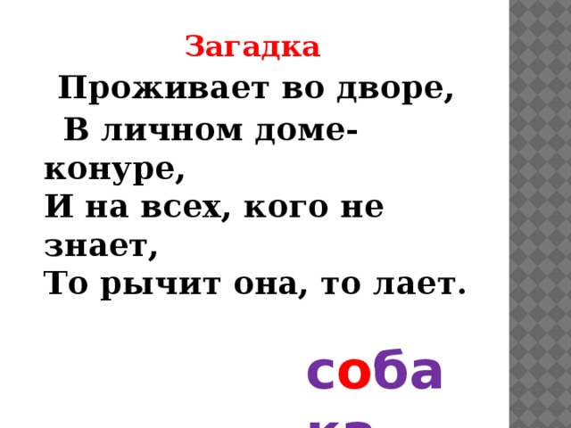 Поставь домой. Загадки про двор. Проживает во дворе в личном доме конуре. Загадка про собаку для детей проживает во дворе. Загадка про конуру.