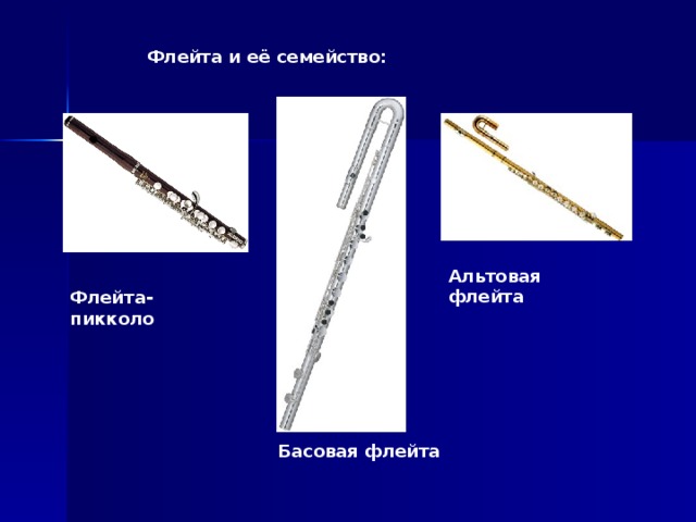 Флейта и её семейство: Альтовая флейта Флейта-пикколо  Басовая флейта 