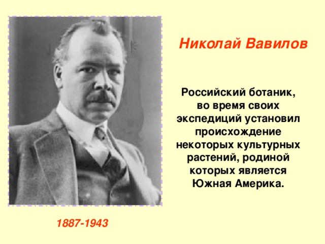 Николай Вавилов Российский ботаник, во время своих экспедиций установил происхождение некоторых культурных растений, родиной которых является Южная Америка. 1887-1943 