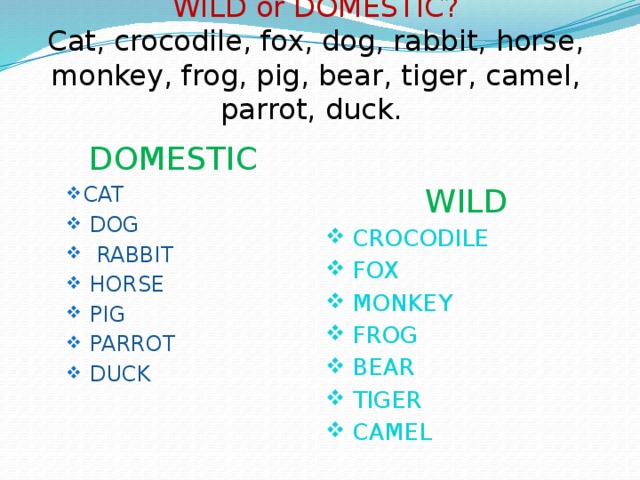     WILD or DOMESTIC?  Cat, crocodile, fox, dog, rabbit, horse, monkey, frog, pig, bear, tiger, camel, parrot, duck.  WILD  CROCODILE  FOX  MONKEY  FROG  BEAR  TIGER  CAMEL DOMESTIC CAT  DOG  RABBIT  HORSE  PIG  PARROT  DUCK CAT  DOG  RABBIT  HORSE  PIG  PARROT  DUCK 