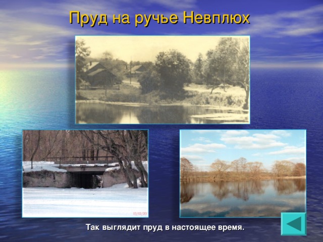 Пруд на ручье Невплюх Так выглядит пруд в настоящее время. 