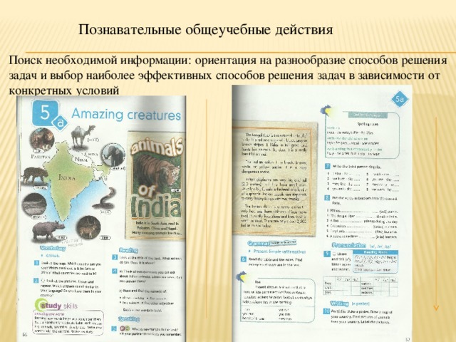 Познавательные общеучебные действия Поиск необходимой информации: ориентация на разнообразие способов решения задач и выбор наиболее эффективных способов решения задач в зависимости от конкретных условий 