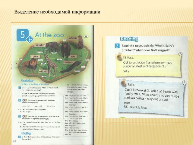 Выделение необходимой информации 