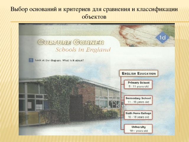Выбор оснований и критериев для сравнения и классификации объектов 