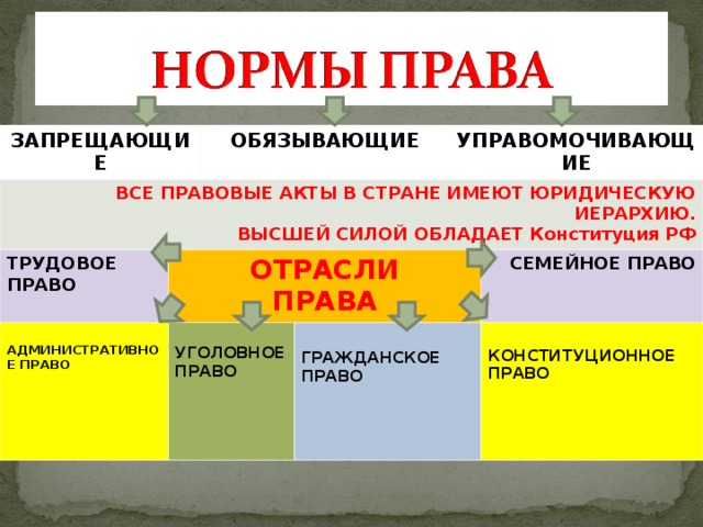 Высочайший действующий. Иерархия отраслей права. Высшую силу в иерархии правовых норм имеют нормы. Высшую силу в иерархии правовых норм имеют нормы права. Высшую силу в иерархии правовых норм имеют нормы гражданского права.