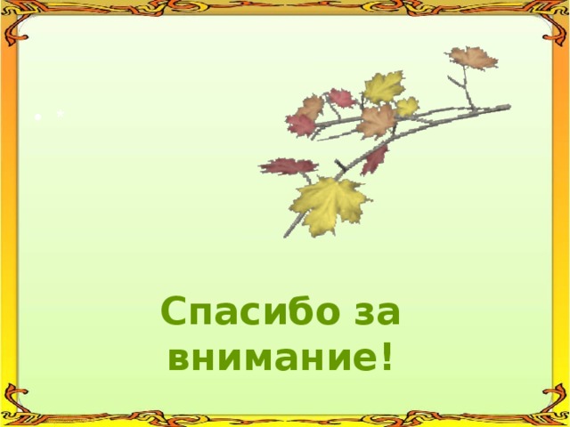 * Спасибо за внимание! 