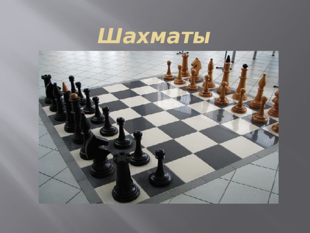Шахматы 