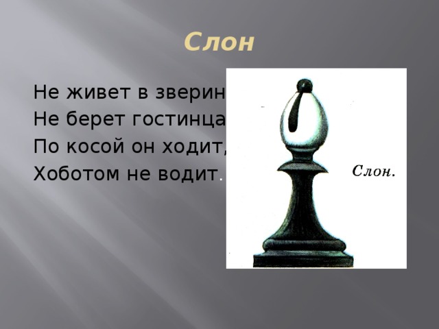 Слон Не живет в зверинце, Не берет гостинца. По косой он ходит, Хоботом не водит . 