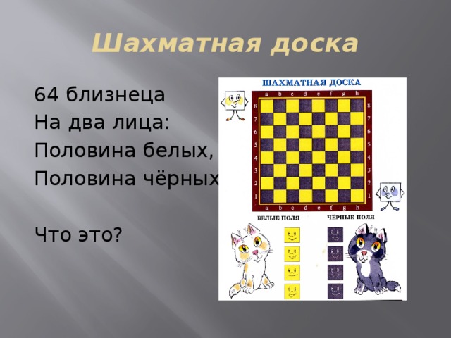 Шахматная доска 64 близнеца На два лица: Половина белых, Половина чёрных. Что это? 