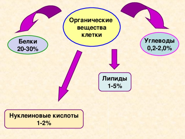 Вещества клетки жиры