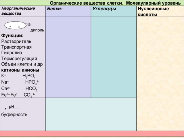 Неорганические вещества клетки