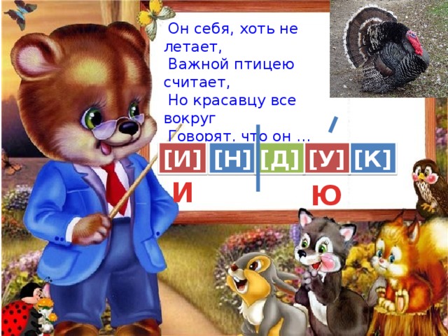  Он себя, хоть не летает,  Важной птицею считает,  Но красавцу все вокруг  Говорят, что он … [И] [Н] [К] [У] [Д] И Ю 