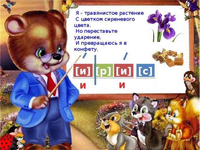  Я - травянистое растение  С цветком сиреневого цвета.  Но переставьте ударение,  И превращаюсь я в конфету. Молодцы, ребята!  Всё получилось! [и] [с] [и] [р] и и 