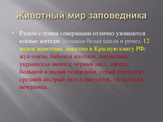 Рядом с этими северянами отлично уживаются южные жители: большая белая цапля и ремез . 12 видов животных занесено в Красную книгу РФ : жук-олень, бабочки аполлон, мнемозина; украинская минога; чёрный аист, змееяд, большой и малый подорлики, серый сорокопут, средний пёстрый дятел; выхухоль, гигантская вечерница. 
