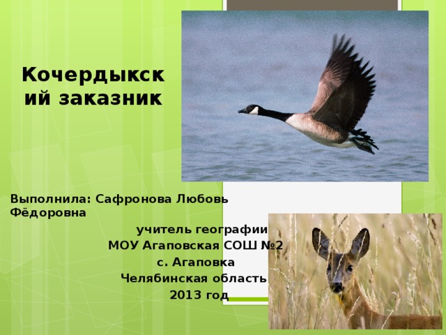 Кочердыкский заказник Выполнила: Сафронова Любовь Фёдоровна  учитель географии  МОУ Агаповская СОШ №2  с. Агаповка  Челябинская область  2013 год 