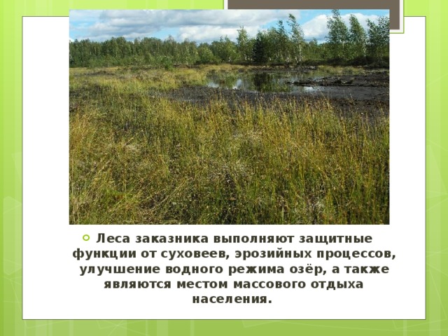 Функции леса. Леса выполняющие защитные функции. Защитная функция лесов. Защитные функции природы. Какие защитные функции выполняют леса.