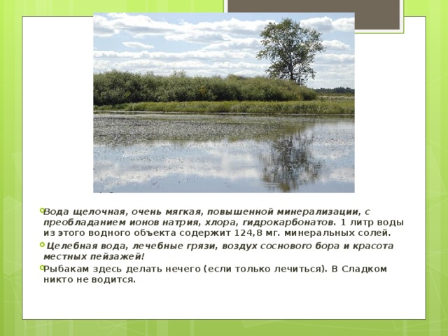 Вода щелочная, очень мягкая, повышенной минерализации, с преобладанием ионов натрия, хлора, гидрокарбонатов. 1 литр воды из этого водного объекта содержит 124,8 мг. минеральных солей.  Целебная вода, лечебные грязи, воздух соснового бора и красота местных пейзажей! Рыбакам здесь делать нечего (если только лечиться). В Сладком никто не водится.    