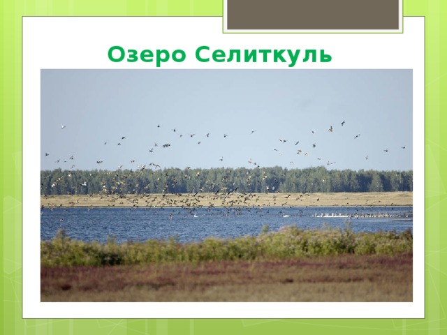 Озеро Селиткуль 