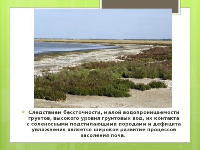 Следствием бессточности, малой водопроницаемости грунтов, высокого уровня грунтовых вод, их контакта с соленосными подстилающими породами и дефицита увлажнения является широкое развитие процессов засоления почв. 