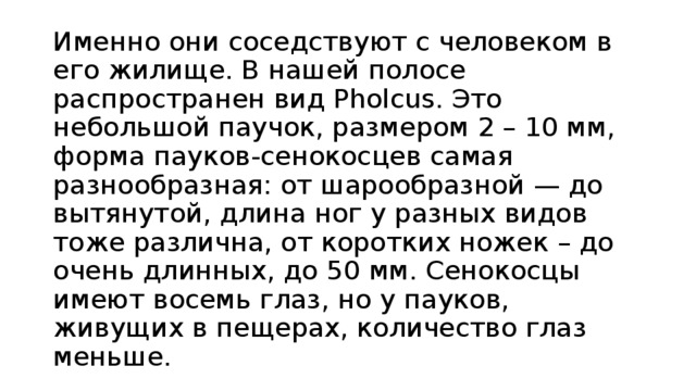 Именно они соседствуют с человеком в его жилище. В нашей полосе распространен вид Pholcus. Это небольшой паучок, размером 2 – 10 мм, форма пауков-сенокосцев самая разнообразная: от шарообразной — до вытянутой, длина ног у разных видов тоже различна, от коротких ножек – до очень длинных, до 50 мм. Сенокосцы имеют восемь глаз, но у пауков, живущих в пещерах, количество глаз меньше. 