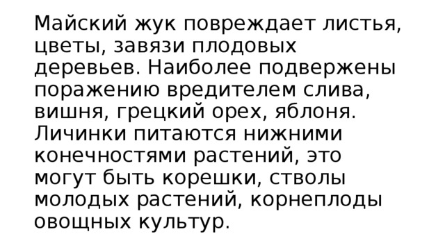 Майский жук повреждает листья, цветы, завязи плодовых деревьев. Наиболее подвержены поражению вредителем слива, вишня, грецкий орех, яблоня. Личинки питаются нижними конечностями растений, это могут быть корешки, стволы молодых растений, корнеплоды овощных культур. 