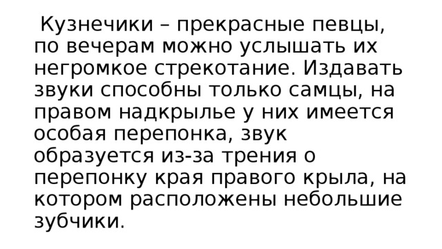   Кузнечики – прекрасные певцы, по вечерам можно услышать их негромкое стрекотание. Издавать звуки способны только самцы, на правом надкрылье у них имеется особая перепонка, звук образуется из-за трения о перепонку края правого крыла, на котором расположены небольшие зубчики. 