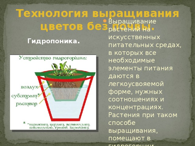 Технология выращивания цветов без почвы. Гидропоника . Выращивание растений на искусственных питательных средах, в которых все необходимые элементы питания даются в легкоусвояемой форме, нужных соотношениях и концентрациях. Растения при таком способе выращивания, помещают в гидрогоршки. 