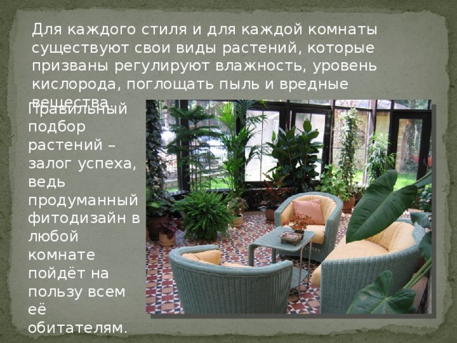 Для каждого стиля и для каждой комнаты существуют свои виды растений, которые призваны регулируют влажность, уровень кислорода, поглощать пыль и вредные вещества. Правильный подбор растений – залог успеха, ведь продуманный фитодизайн в любой комнате пойдёт на пользу всем её обитателям. 