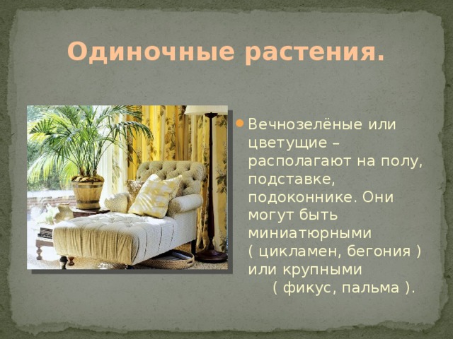 Одиночные растения. Вечнозелёные или цветущие – располагают на полу, подставке, подоконнике. Они могут быть миниатюрными ( цикламен, бегония ) или крупными ( фикус, пальма ). 