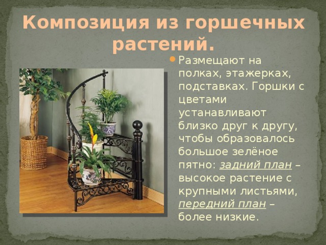 Композиция из горшечных растений. Размещают на полках, этажерках, подставках. Горшки с цветами устанавливают близко друг к другу, чтобы образовалось большое зелёное пятно: задний план – высокое растение с крупными листьями, передний план – более низкие. 
