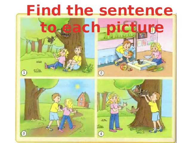 Find the sentence to each picture 