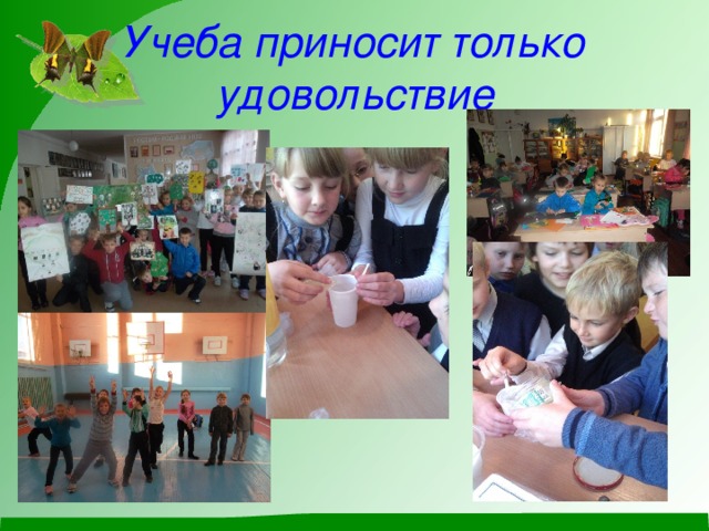 Учеба приносит только удовольствие 