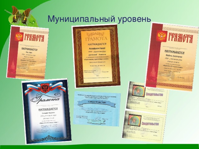 Муниципальный уровень 