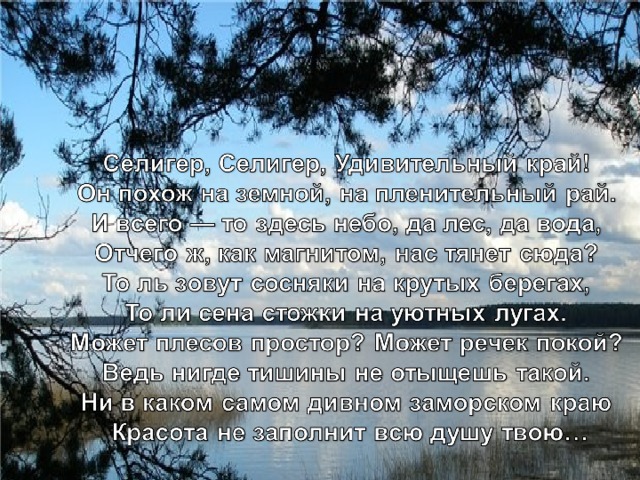 Ещё есть озеро одно, Селигер зовут его Как орхидея расцветает И чистотой своей блистает. 4 