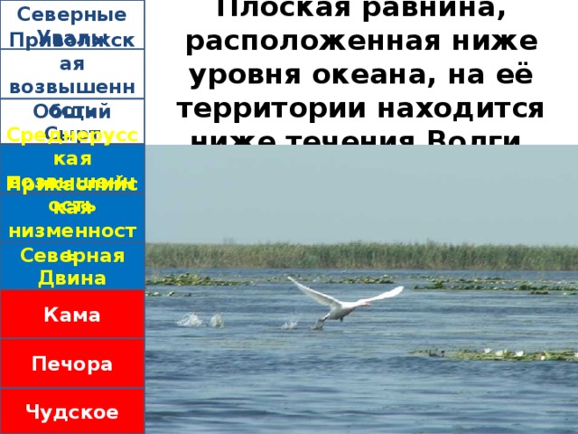 Плоская равнина, расположенная ниже уровня океана, на её территории находится ниже течения Волги. Северные Увалы Приволжская возвышенность Общий Сырт Среднерусская возвышенность Прикаспийская низменность Северная Двина Кама Печора Чудское  